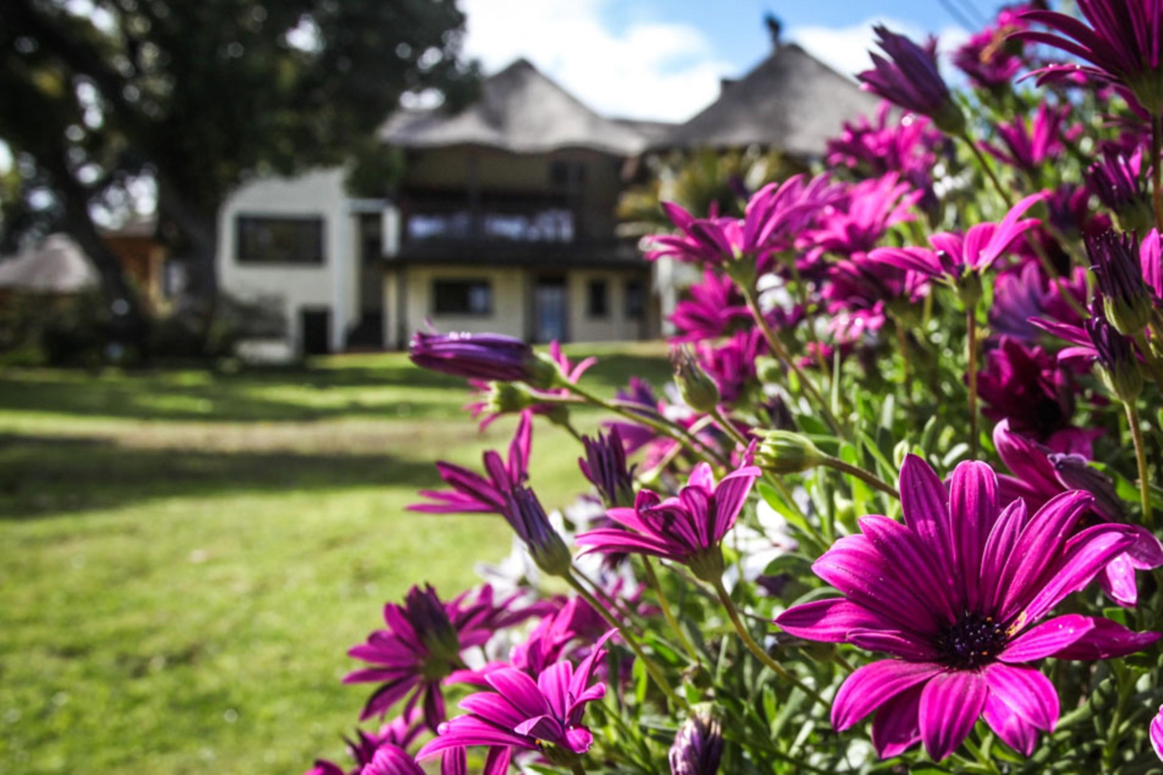 Winelands Villa Guesthouse And Cottages Somerset West Exterior photo