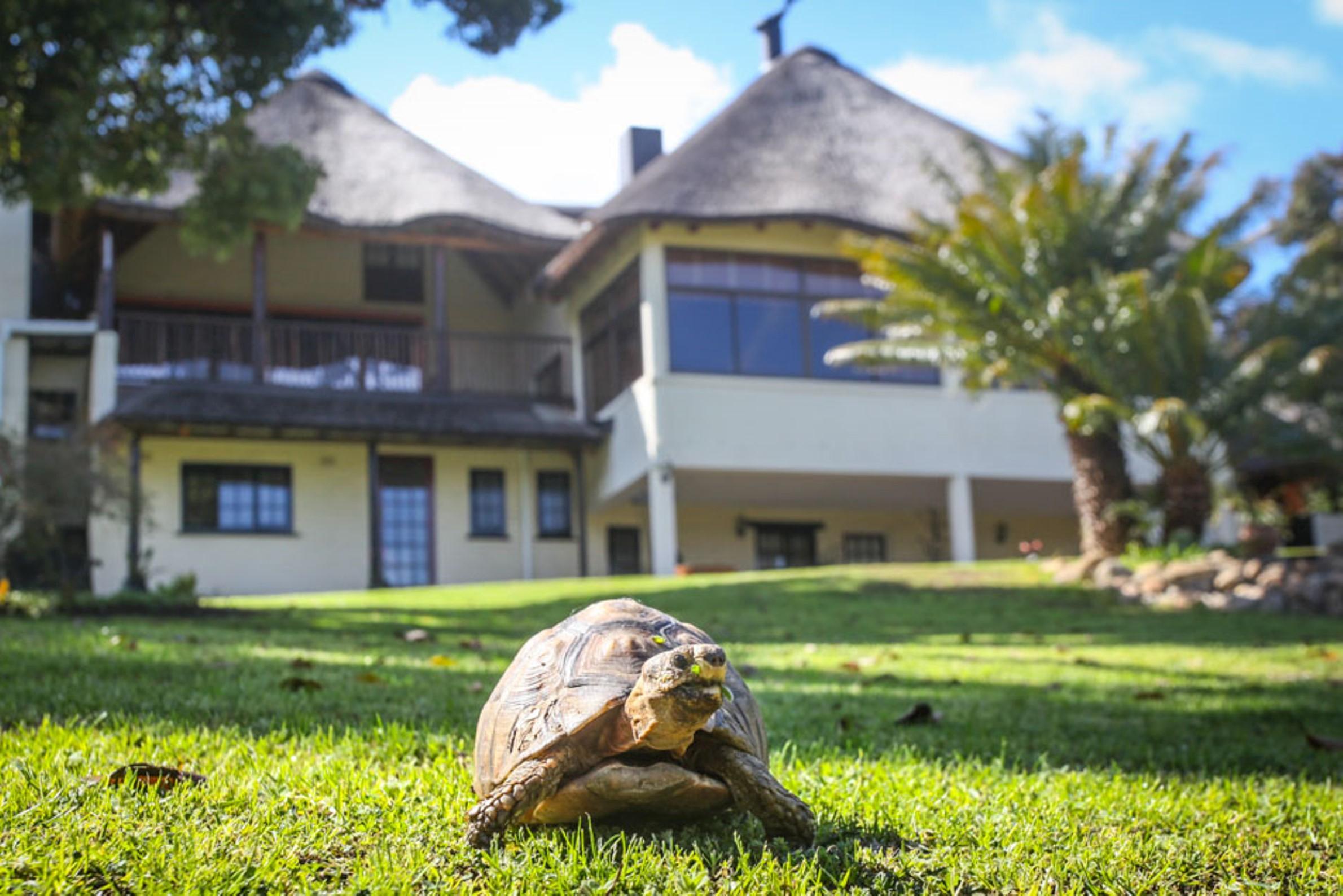 Winelands Villa Guesthouse And Cottages Somerset West Exterior photo