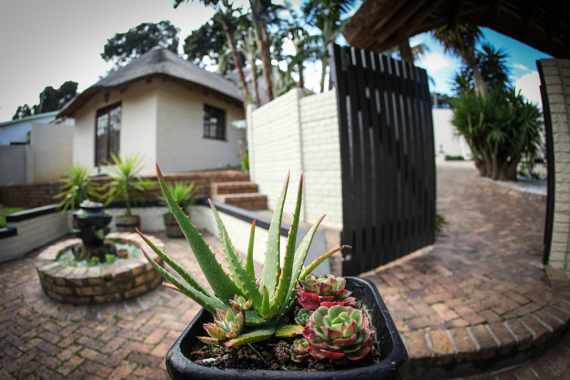 Winelands Villa Guesthouse And Cottages Somerset West Exterior photo